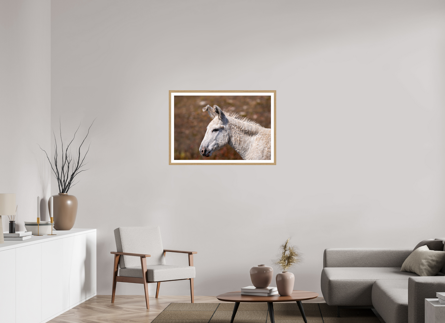 Feral Donkey of Custer