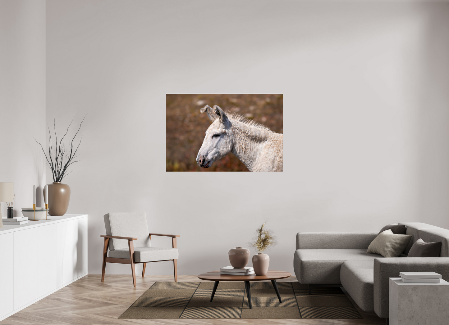 Feral Donkey of Custer