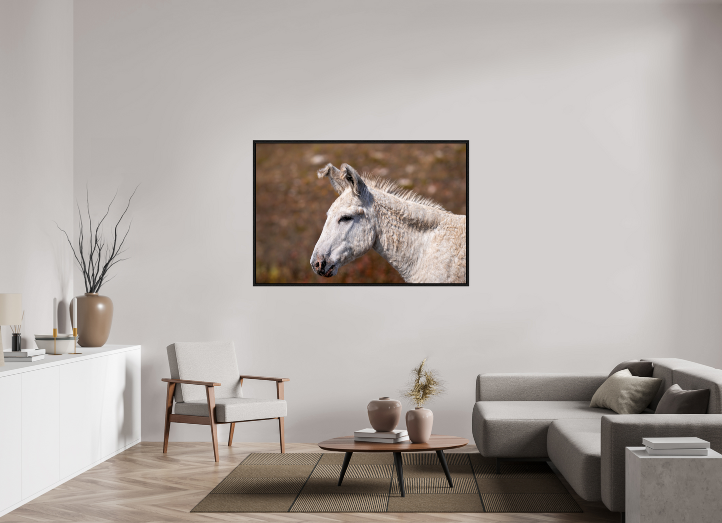 Feral Donkey of Custer
