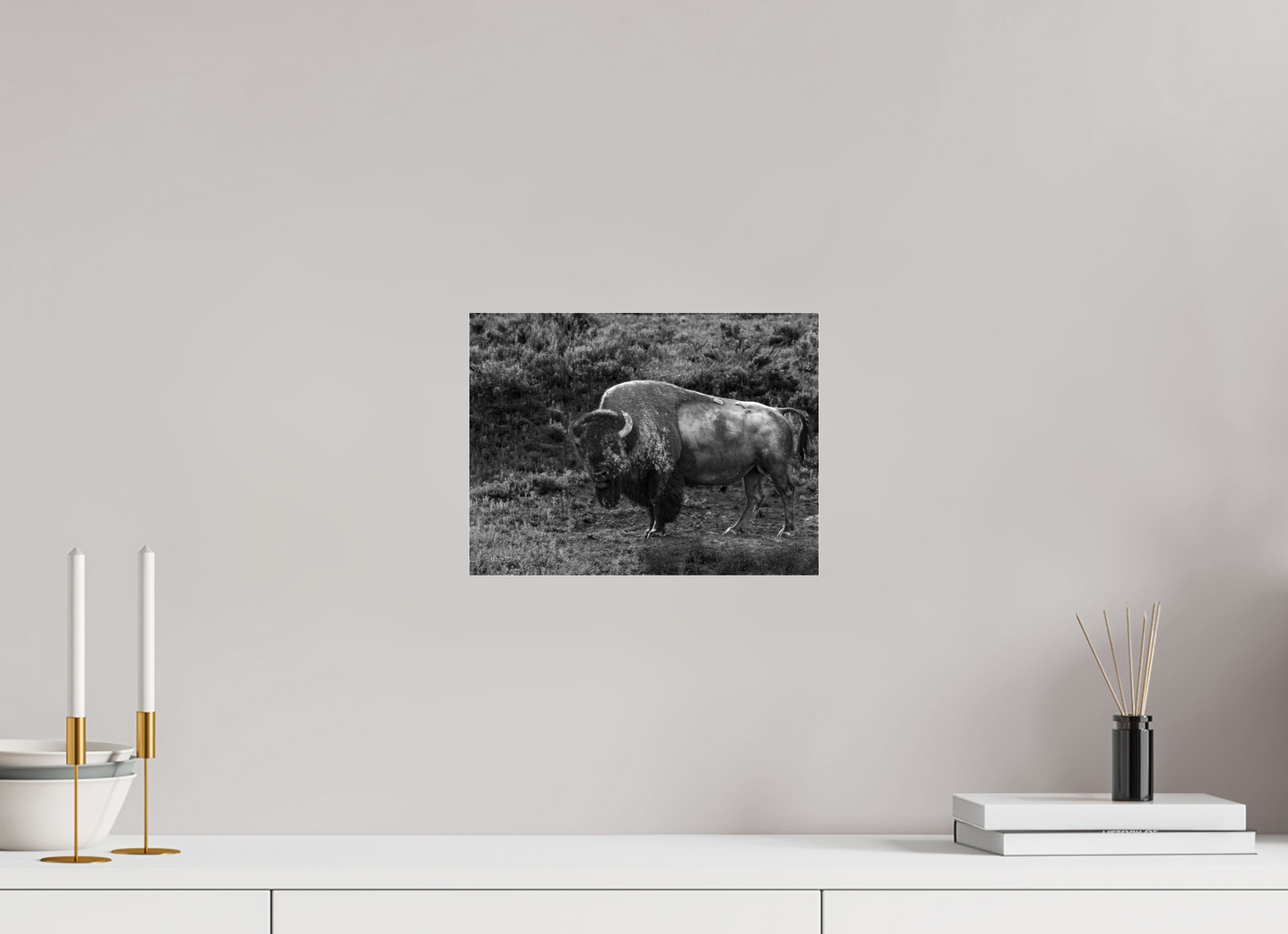 12 x 9″, Photo Print Under Acrylic Glass Thee stare down
