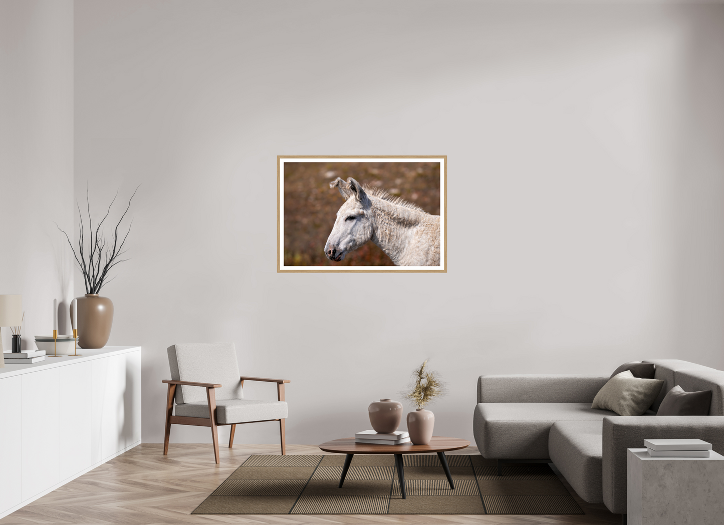 Feral Donkey of Custer