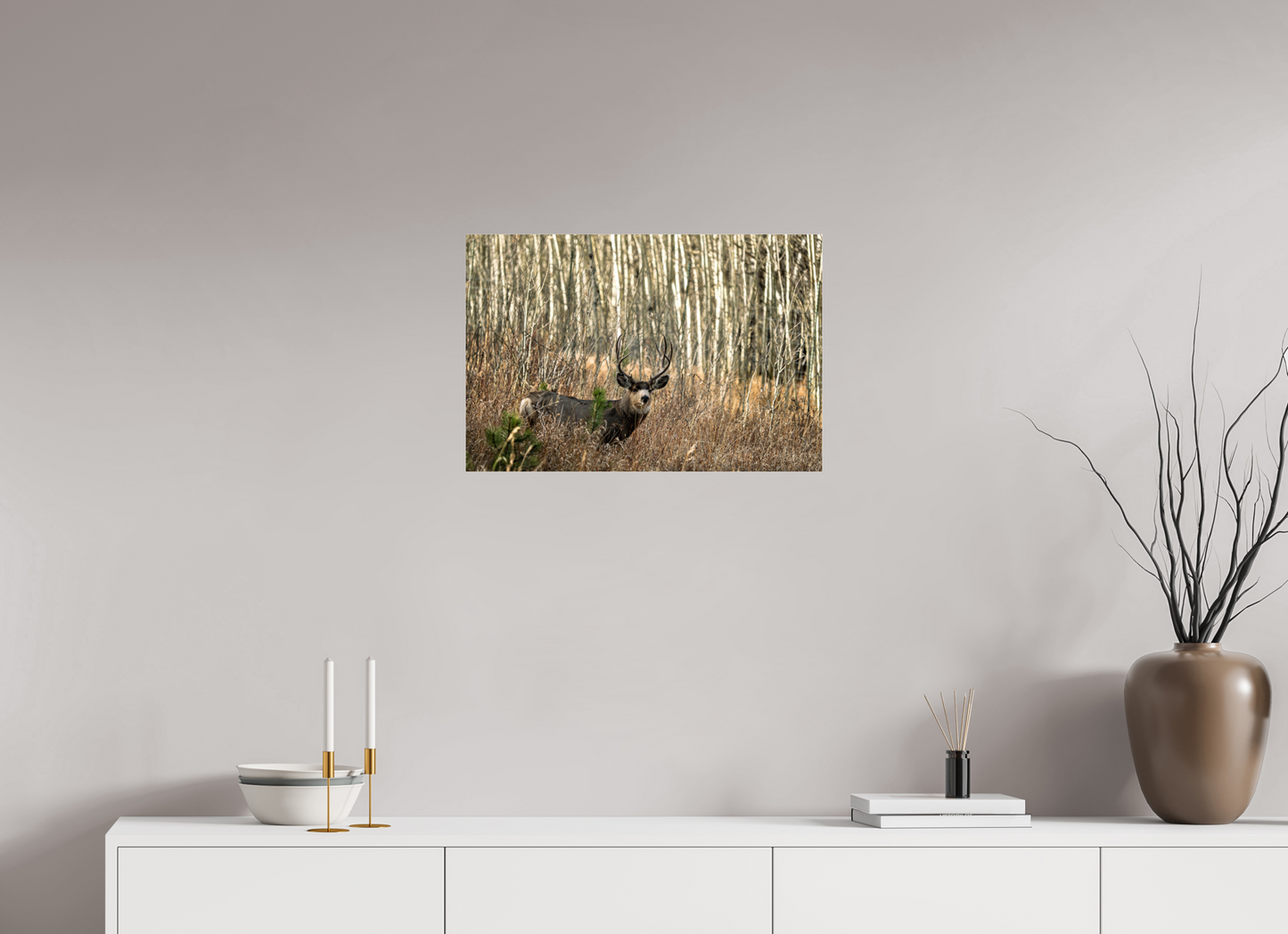 24 x 16″, Photo Print Under Acrylic Glass Guardian of the Aspens