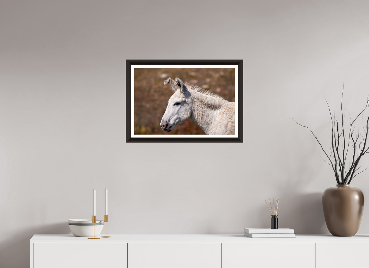 Feral Donkey of Custer