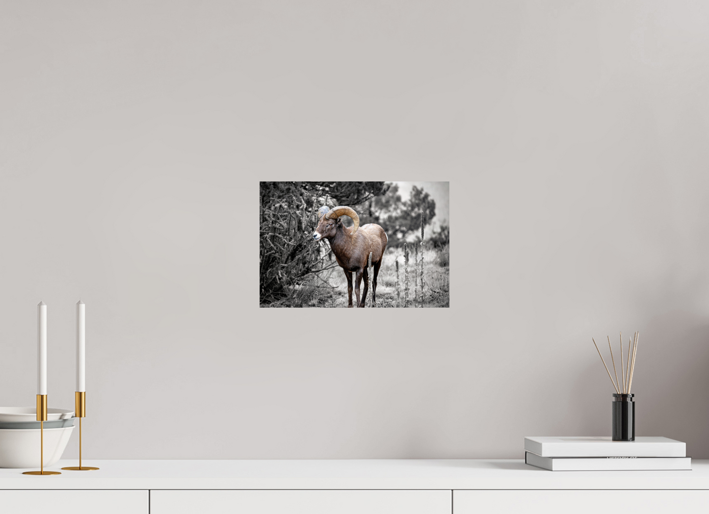 12 x 8″, Photo Print On Fuji Crystal DP II Royal Big Horn