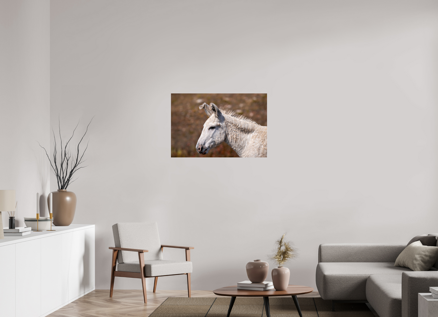 Feral Donkey of Custer