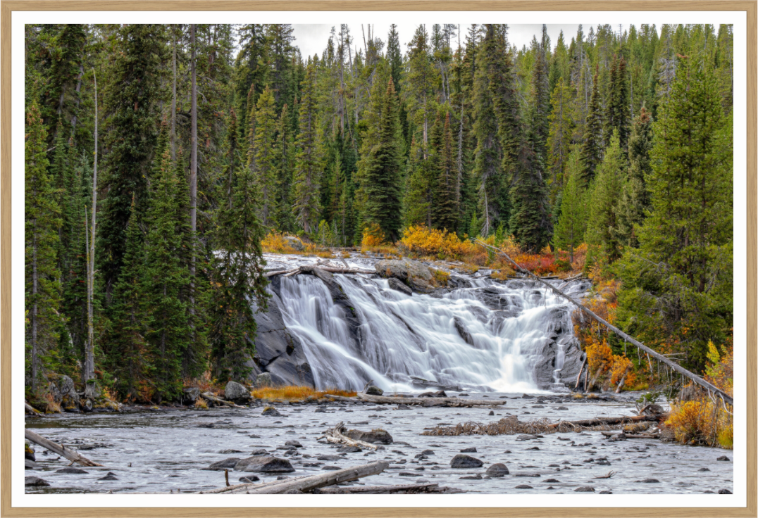 Lewis Falls