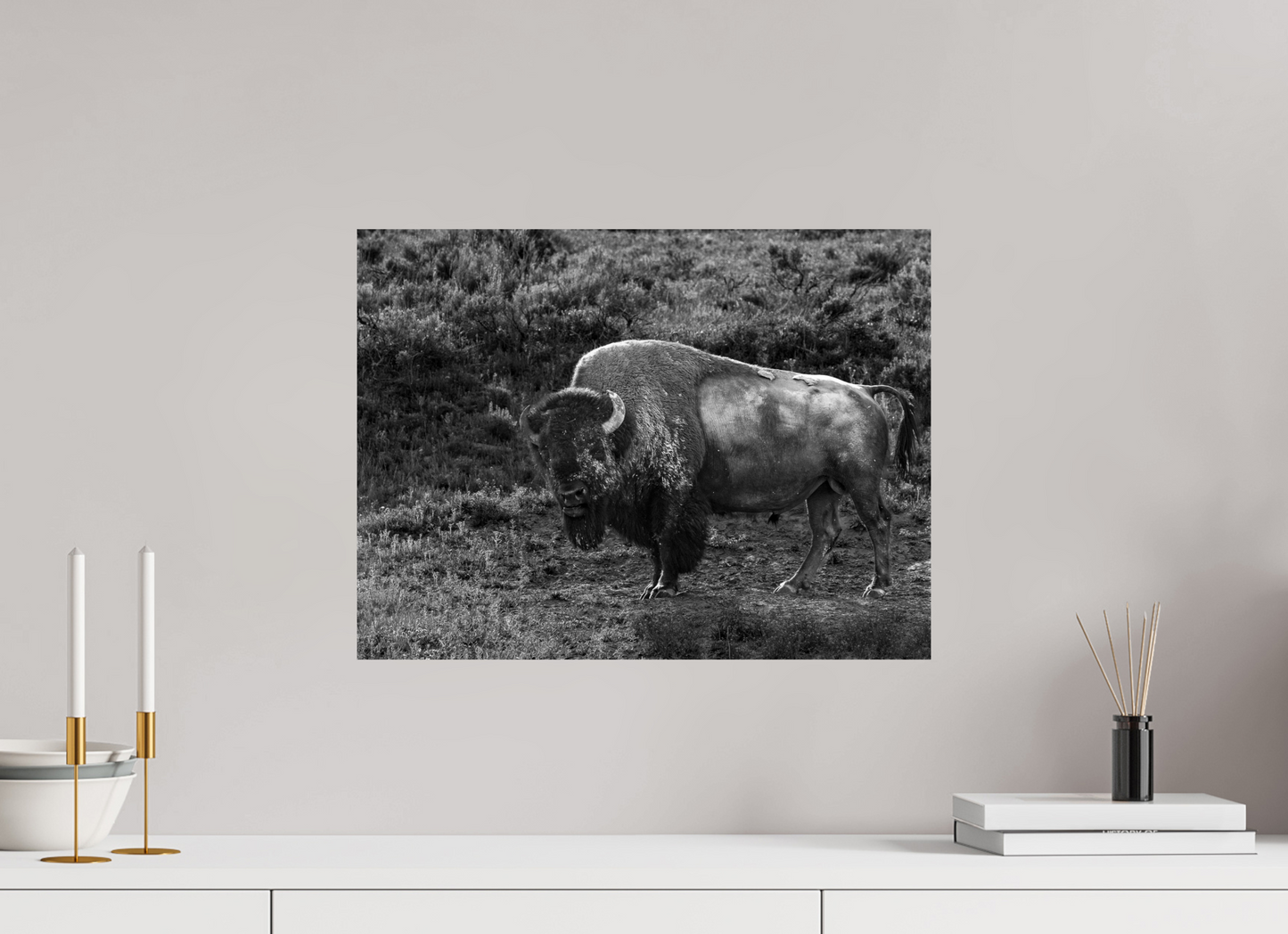 20 x 15″, Photo Print On Fuji Crystal DP II Thee stare down
