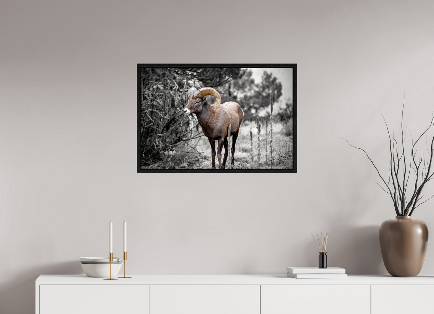 30 x 20″, Floater Frame Royal Big Horn