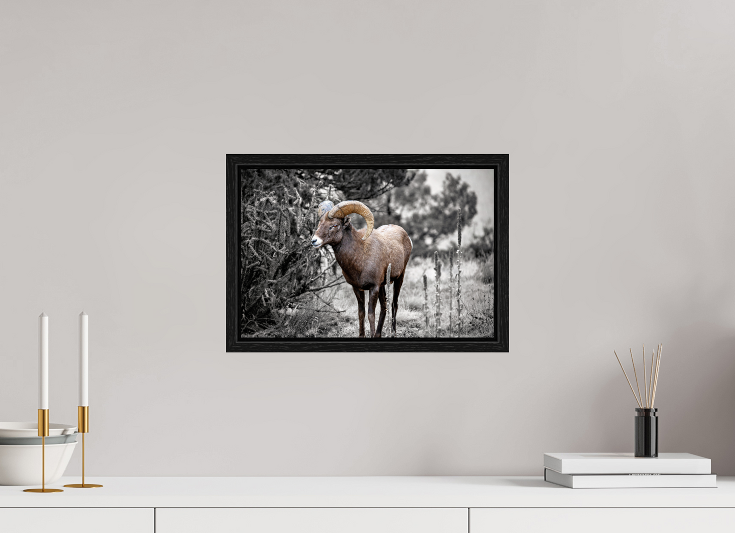 15 x 10″, Floater Frame Royal Big Horn