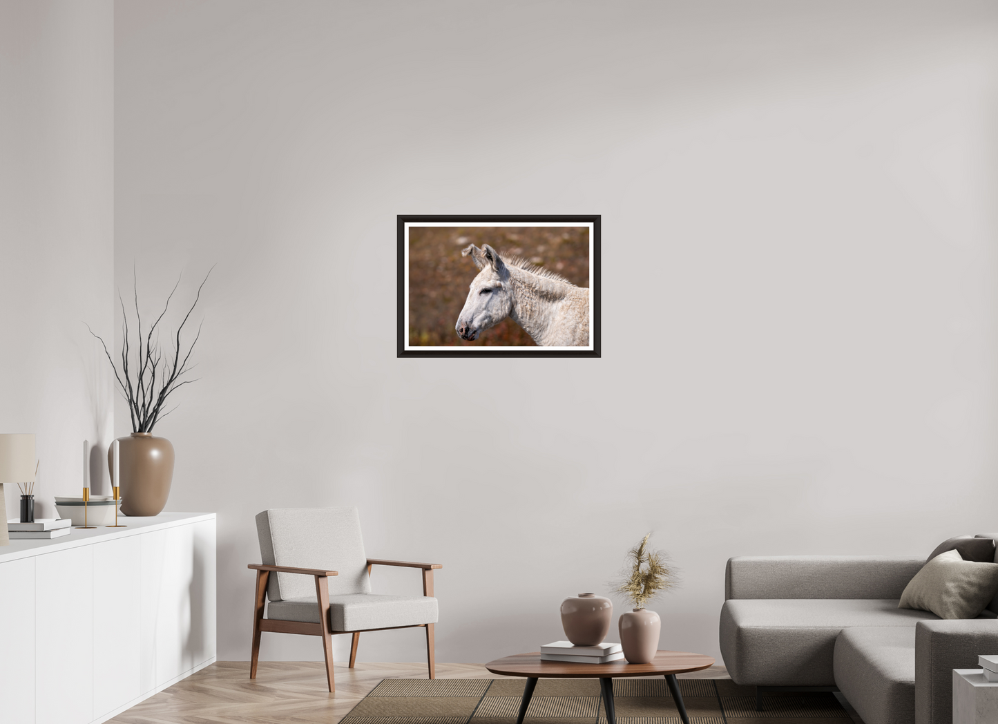 Feral Donkey of Custer