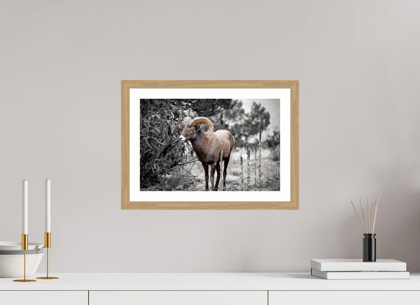 15 x 10″, Metallic Photo Print under Acrylic Glass Royal Big Horn