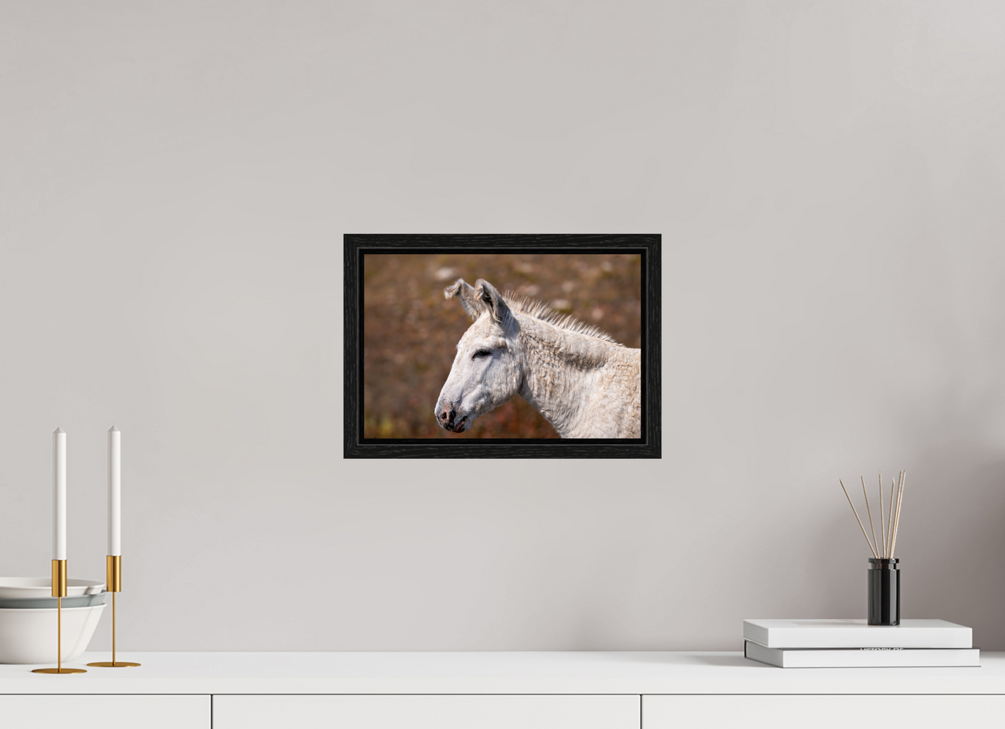 Feral Donkey of Custer