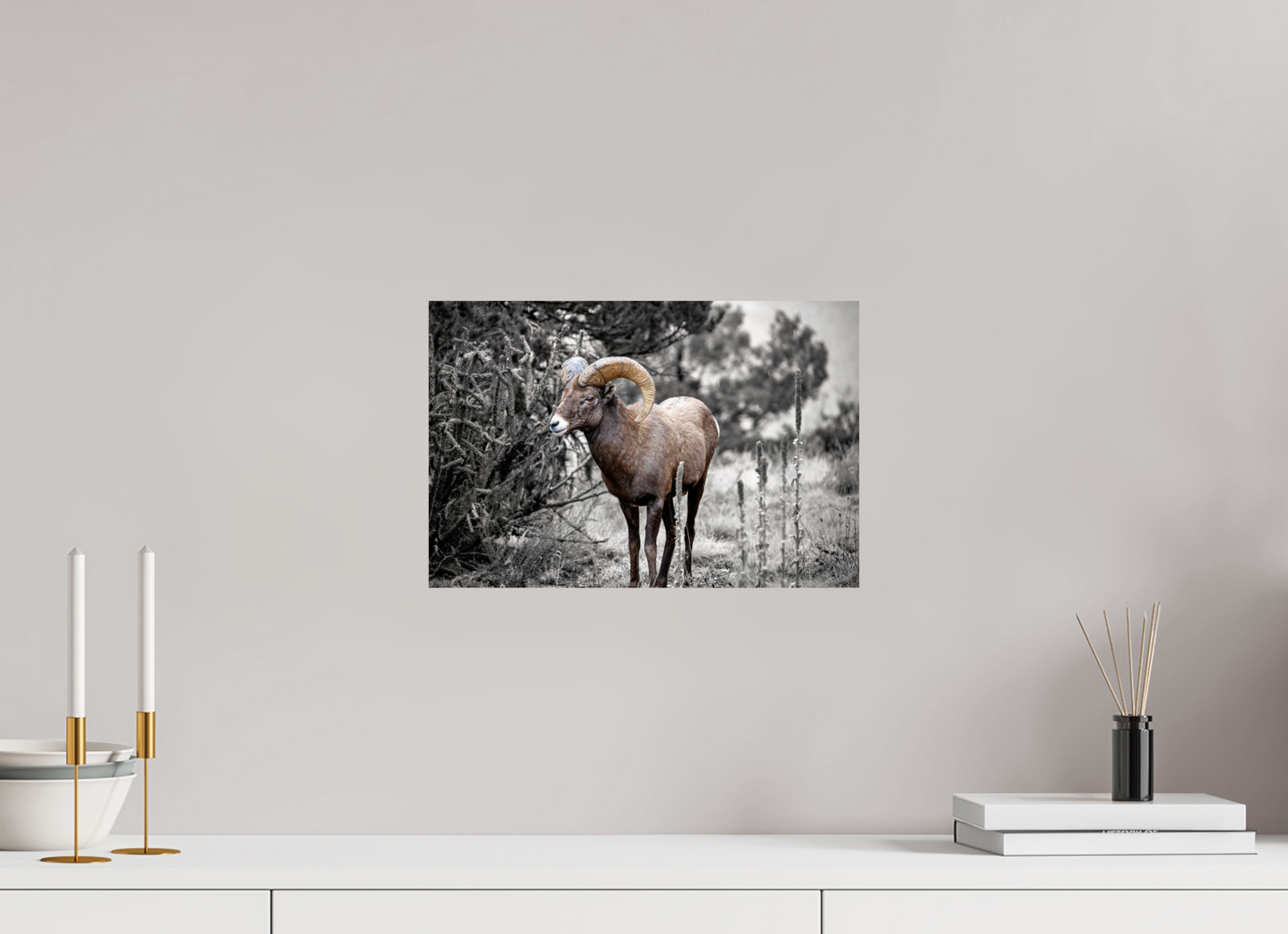 15 x 10″, Photo Print On Fuji Crystal DP II Royal Big Horn