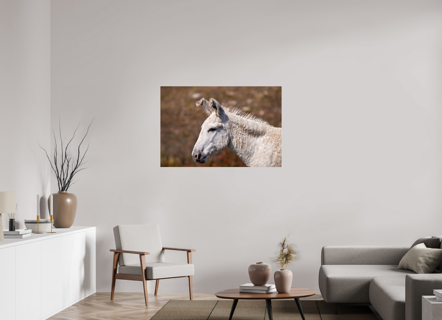 Feral Donkey of Custer