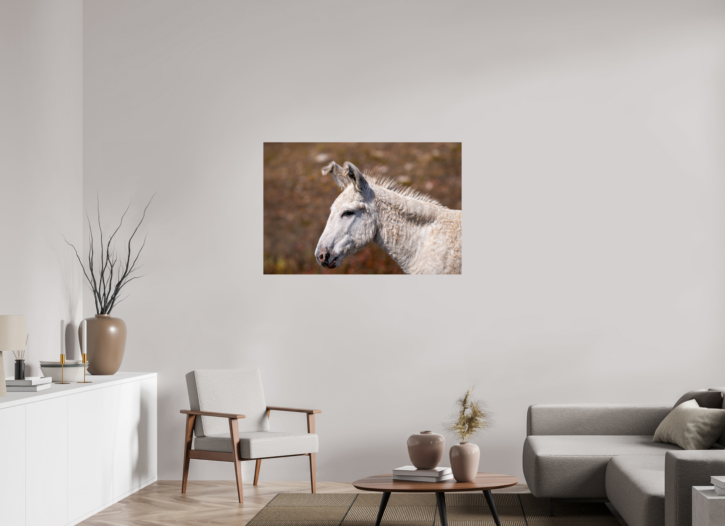 Feral Donkey of Custer