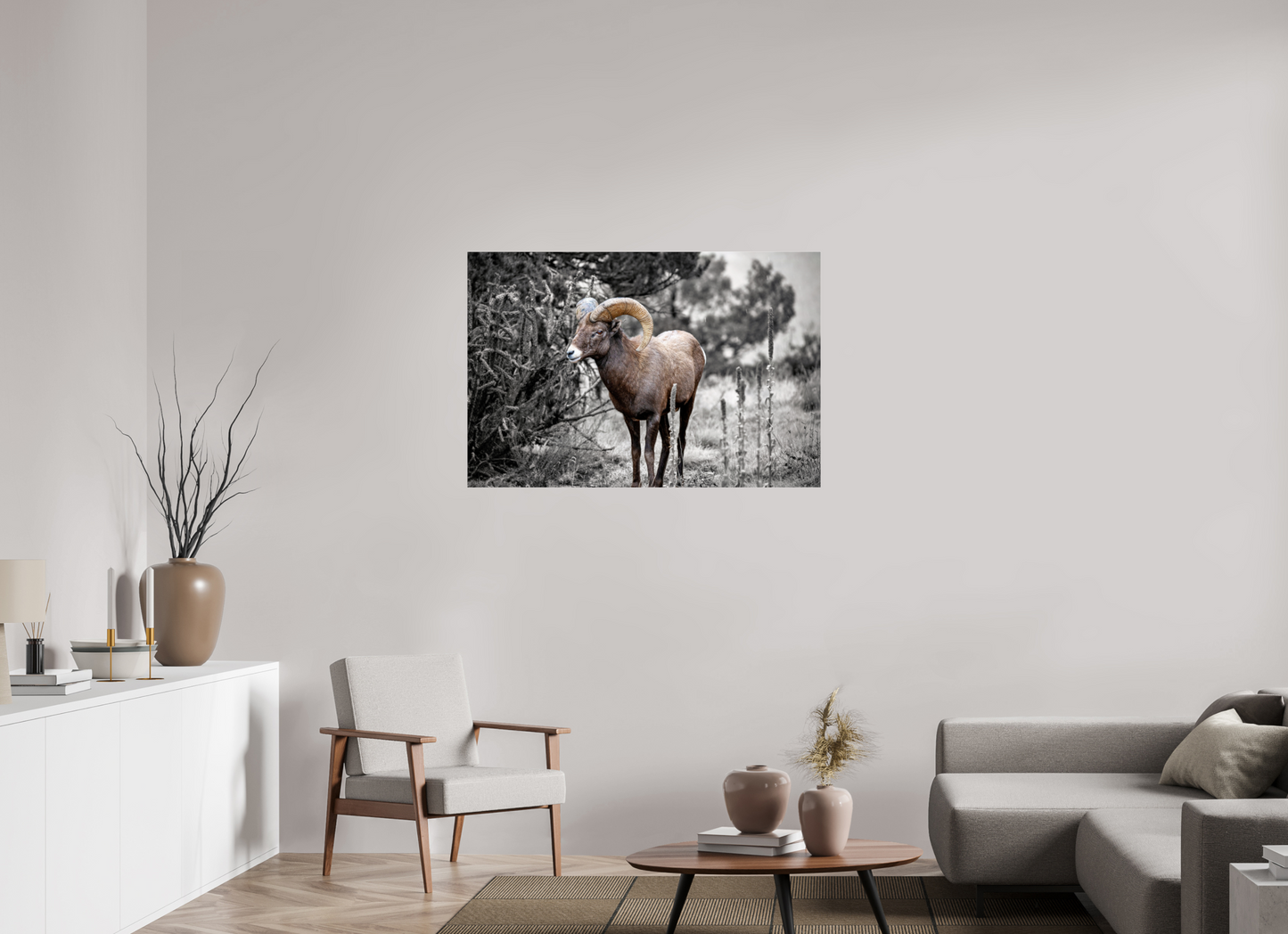 45 x 30″, Photo Print Under Acrylic Glass Royal Big Horn
