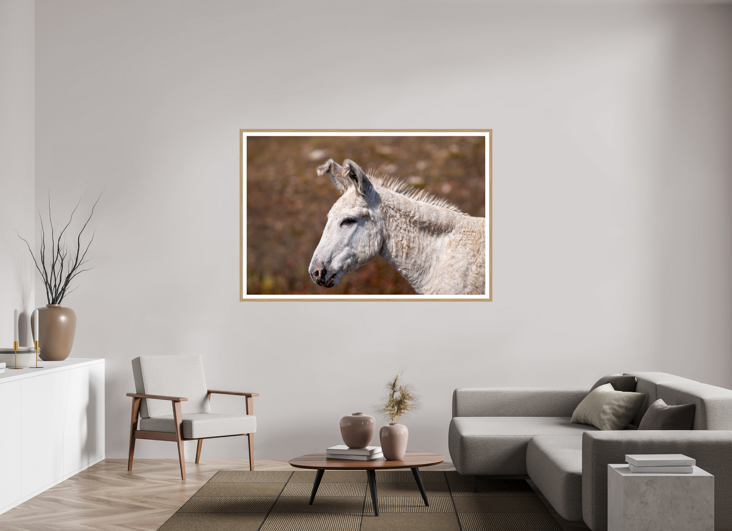 Feral Donkey of Custer
