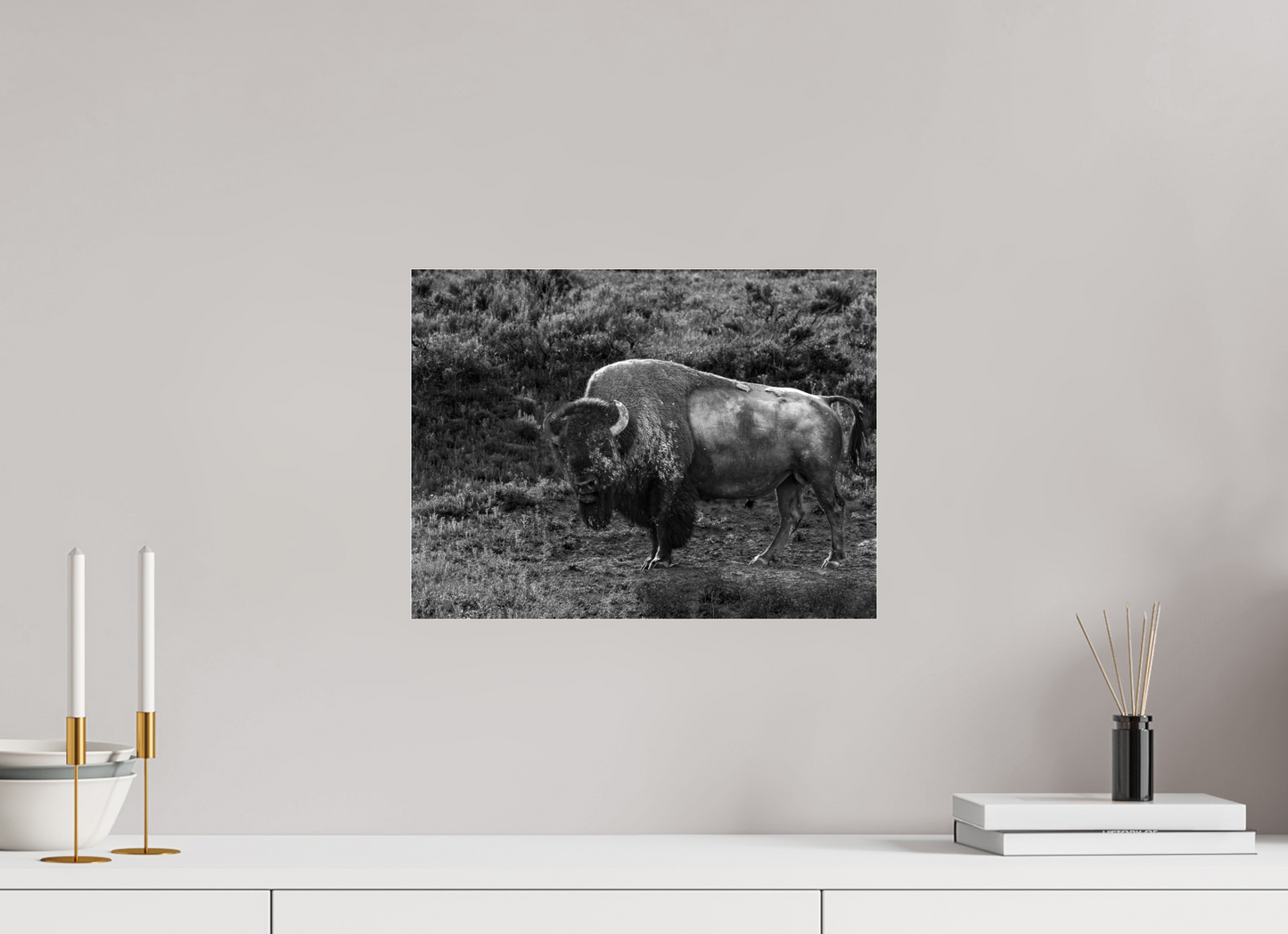 16 x 12″, Photo Print Under Acrylic Glass Thee stare down