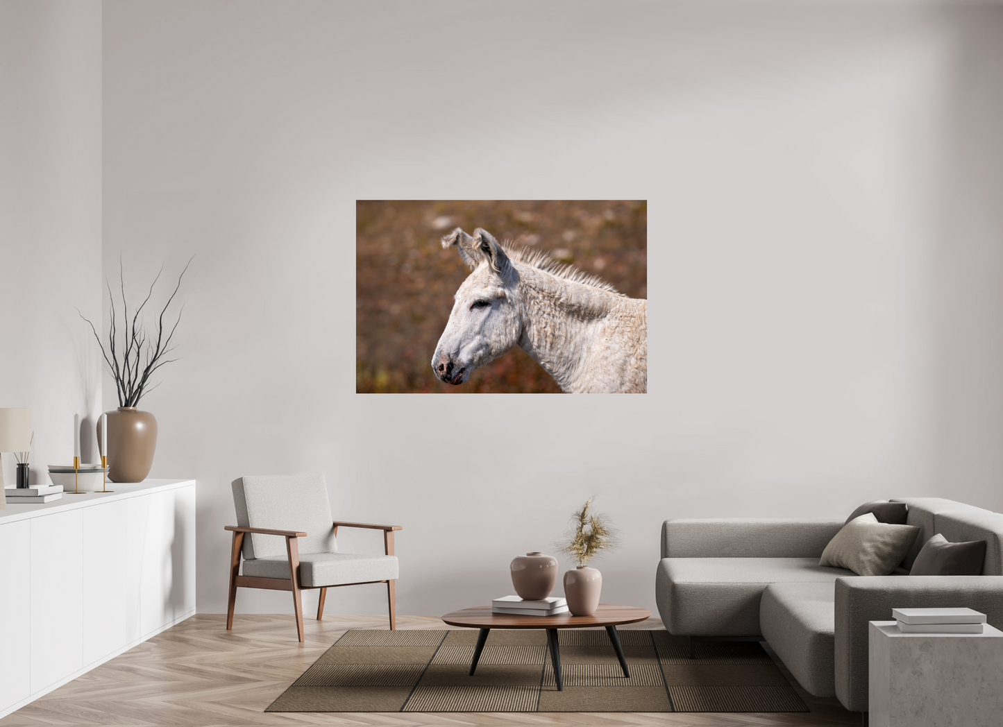 Feral Donkey of Custer