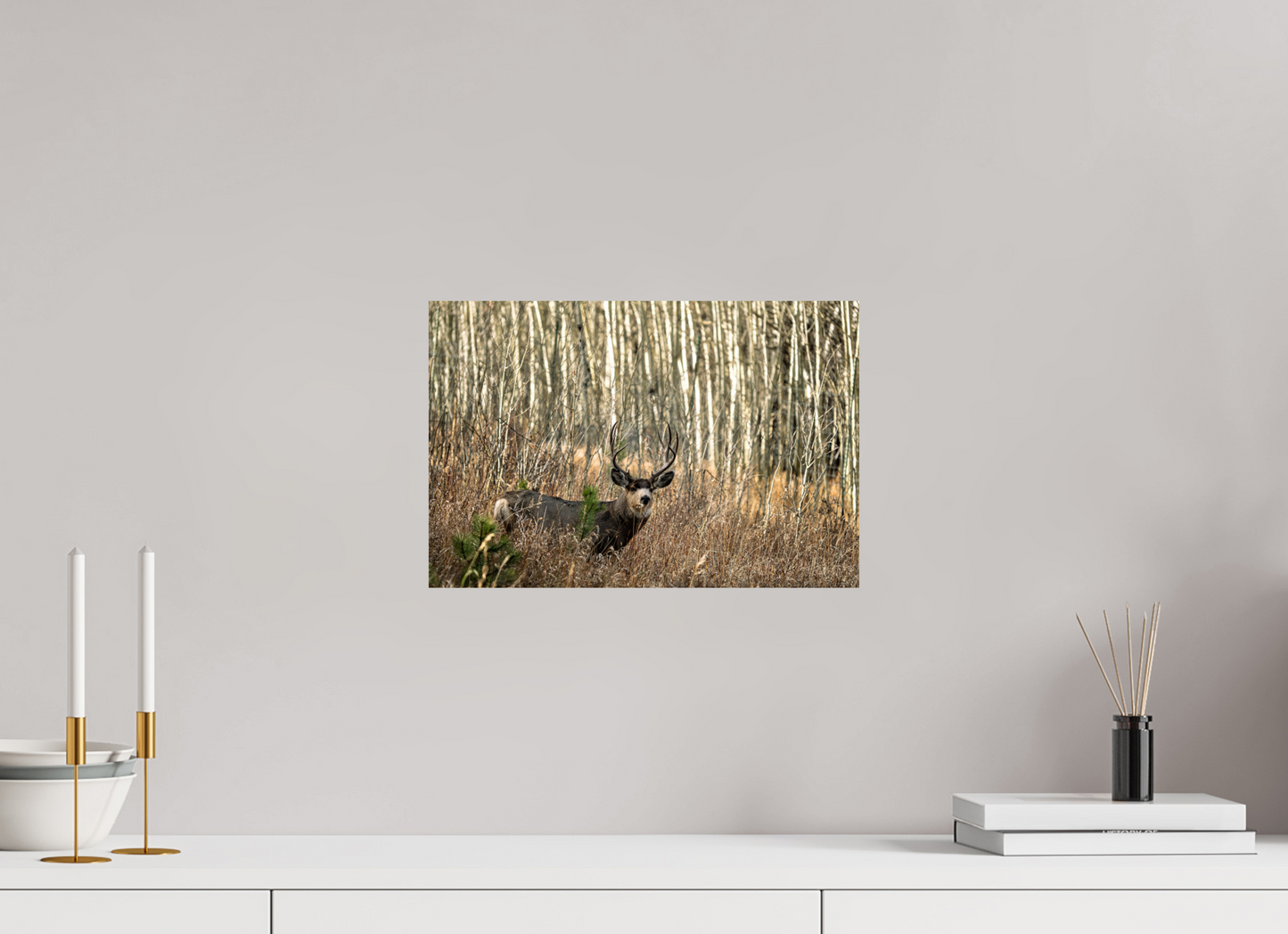 15 x 10″, Photo Print On Fuji Crystal DP II Guardian of the Aspens