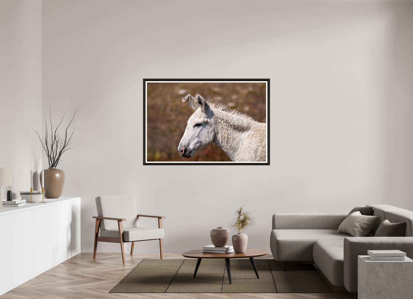 Feral Donkey of Custer