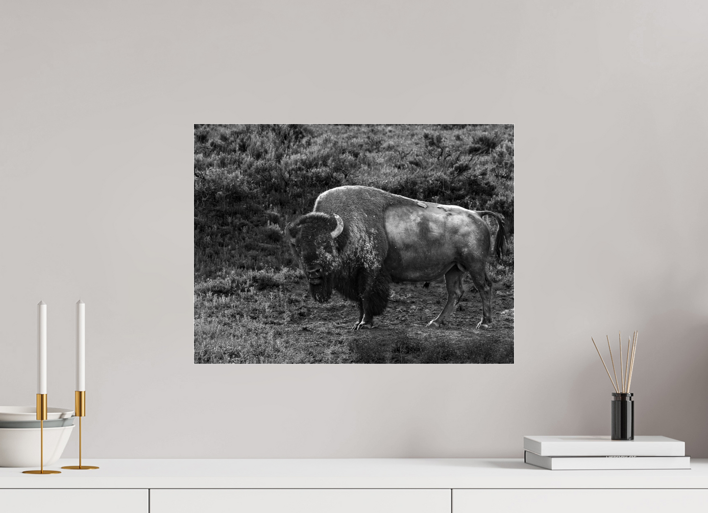 20 x 15″, Photo Print Under Acrylic Glass Thee stare down