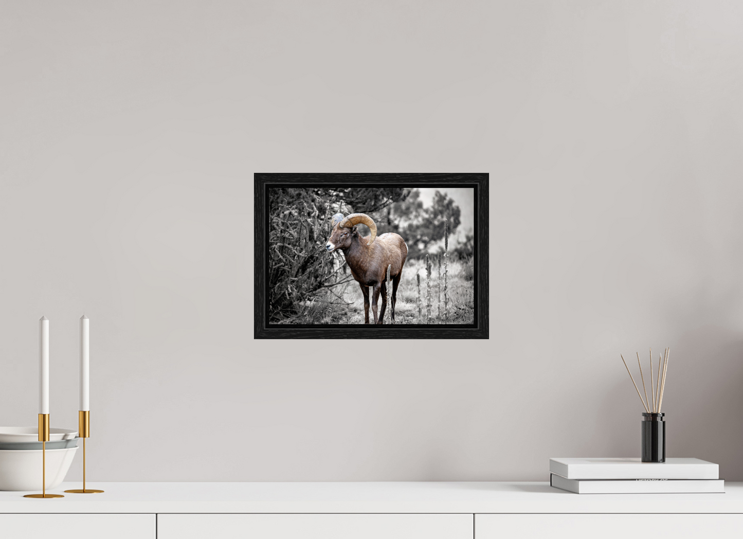 12 x 8″, Floater Frame Royal Big Horn