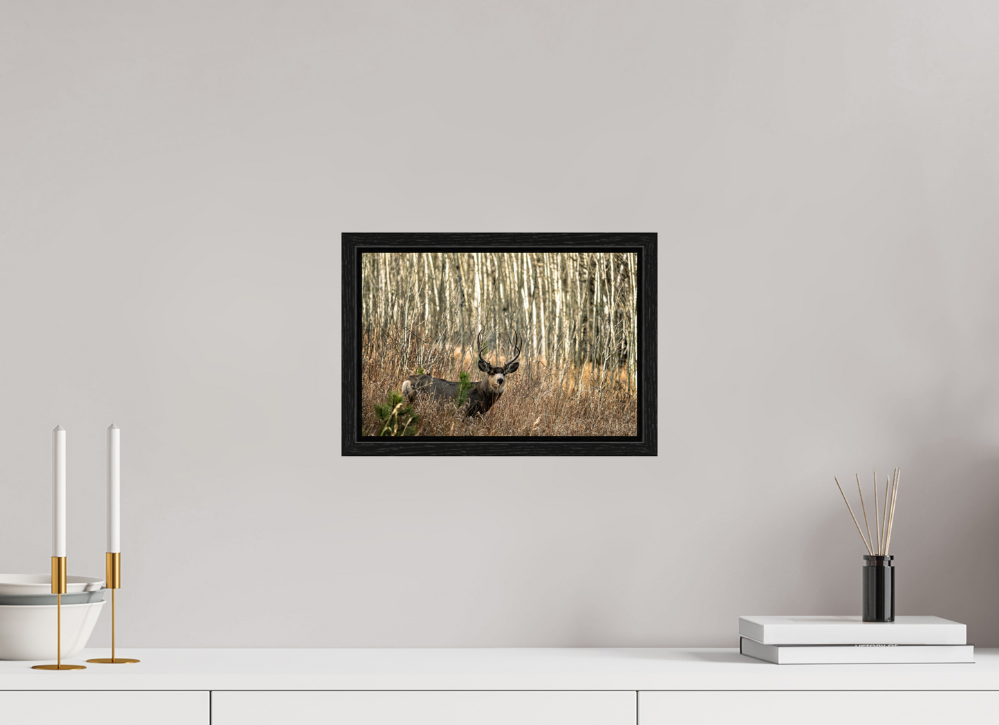 12 x 8″, Floater Frame Guardian of the Aspens