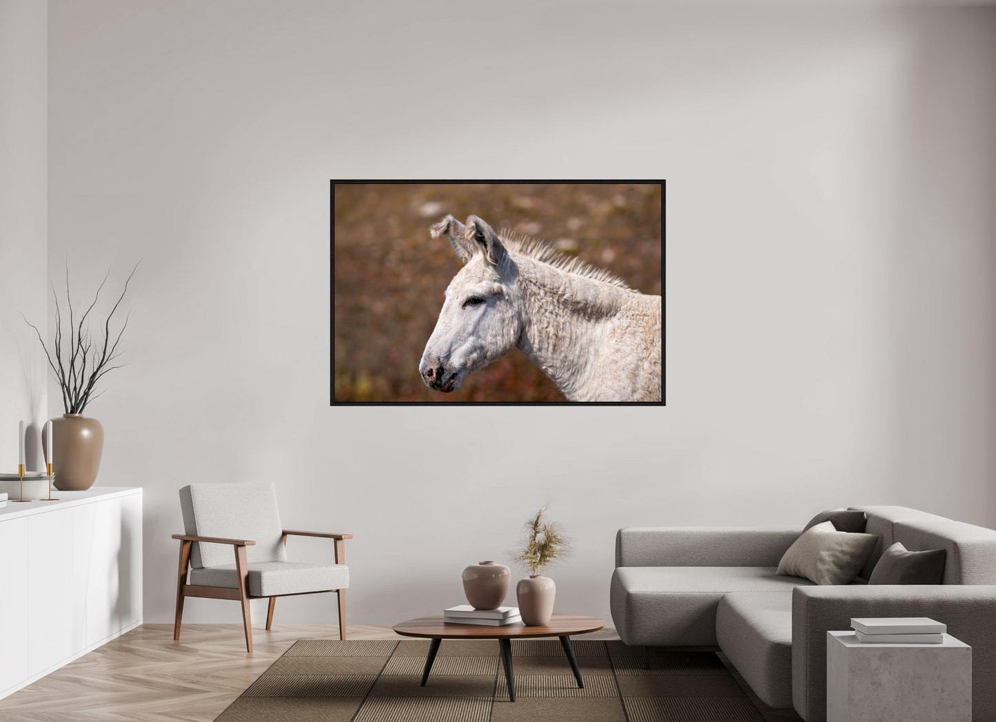 Feral Donkey of Custer
