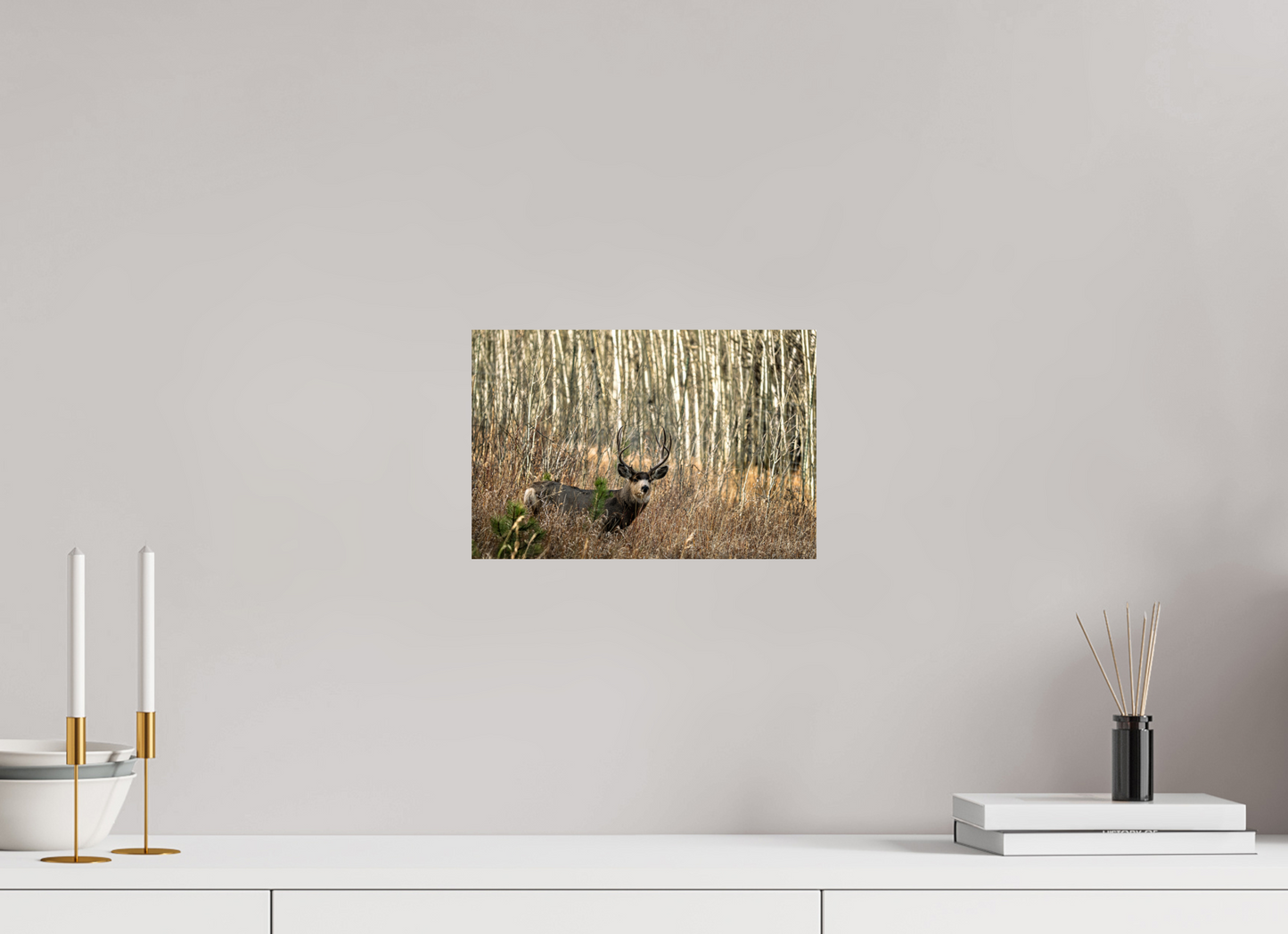 12 x 8″, Photo Print On Fuji Crystal DP II Guardian of the Aspens