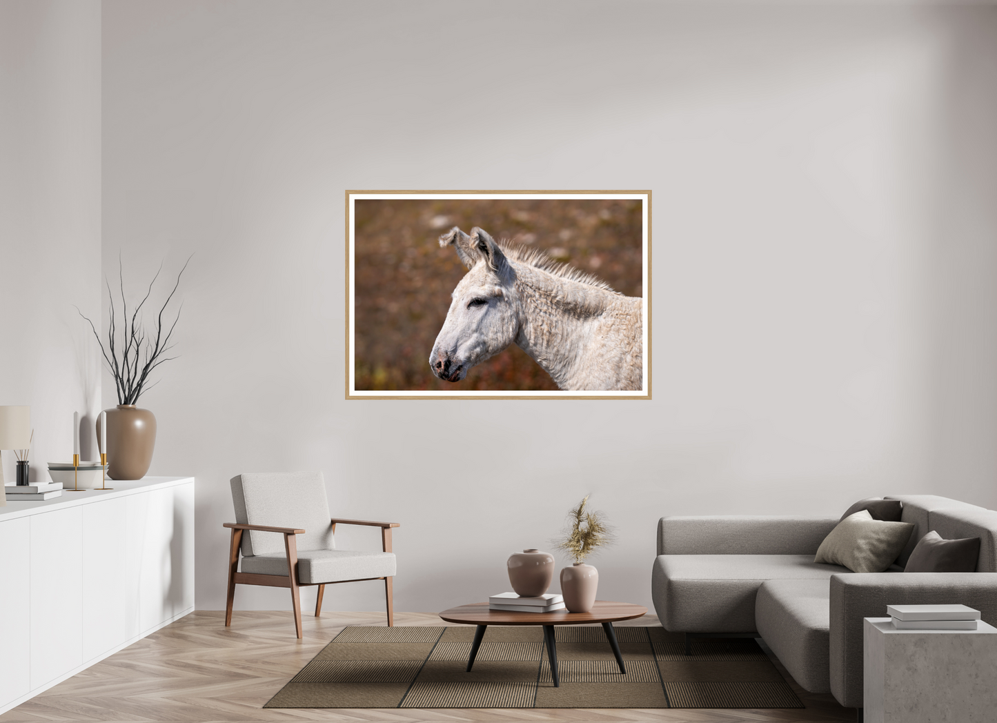 Feral Donkey of Custer