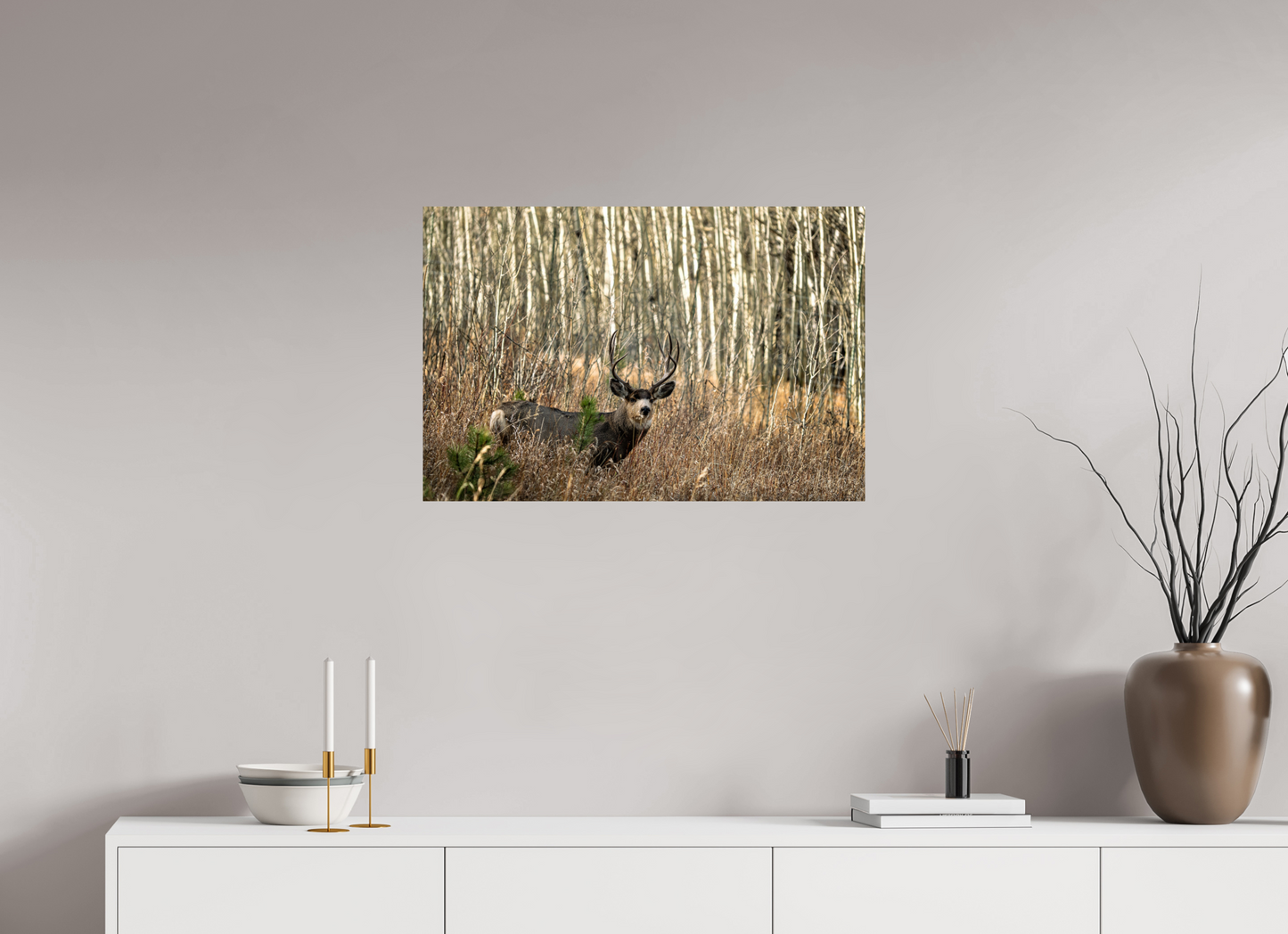 30 x 20″, Photo Print On Fuji Crystal DP II Guardian of the Aspens