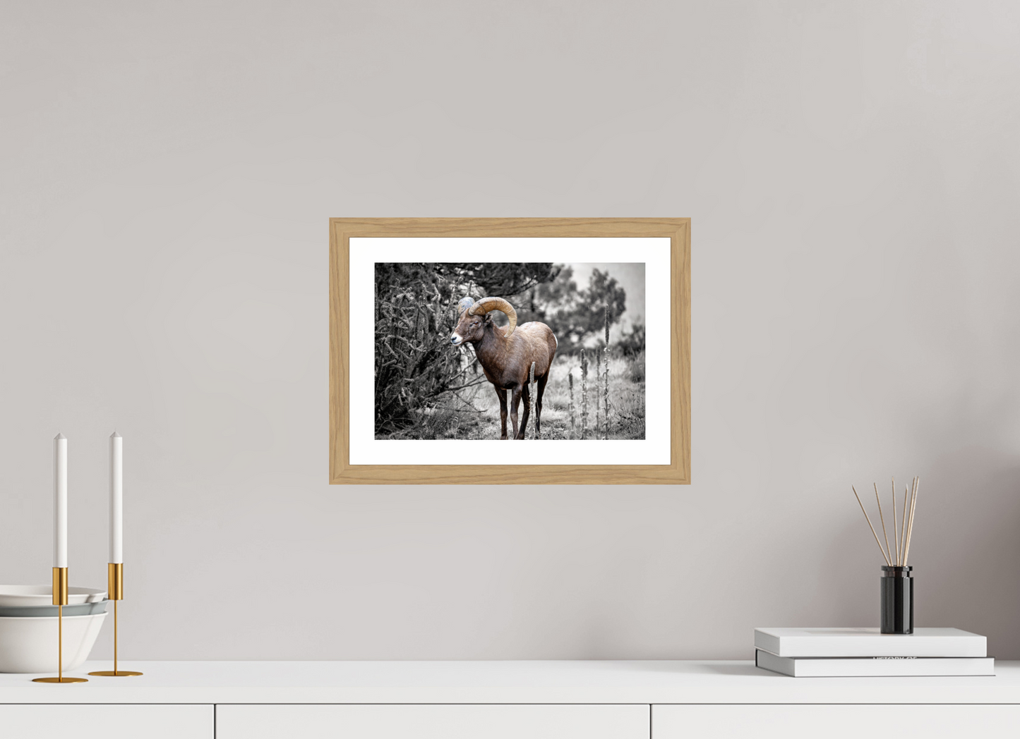12 x 8″, Metallic Photo Print under Acrylic Glass Royal Big Horn