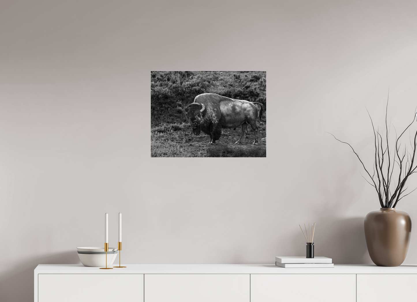 24 x 18″, Photo Print Under Acrylic Glass Thee stare down
