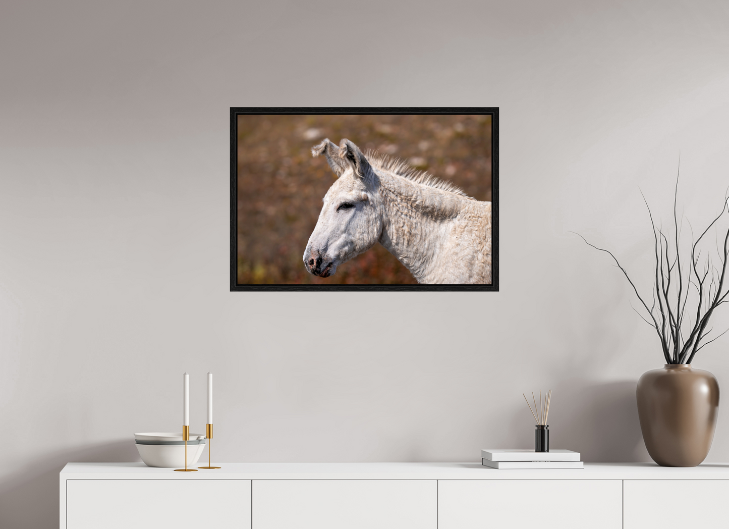 Feral Donkey of Custer