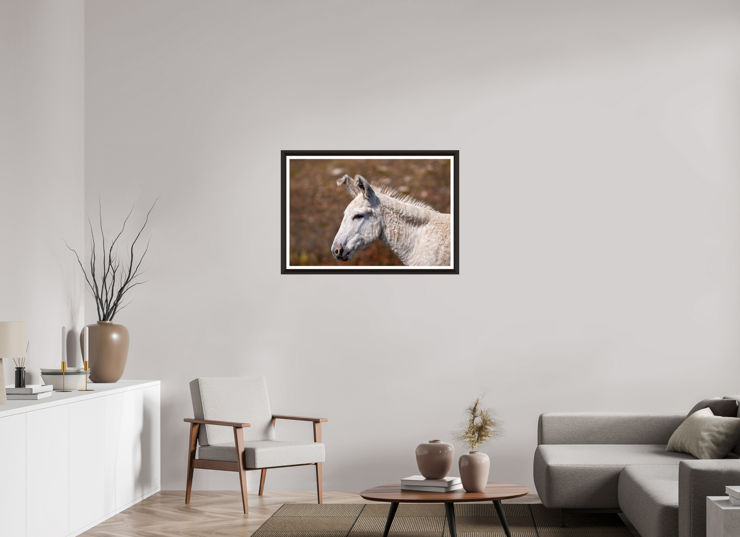 Feral Donkey of Custer