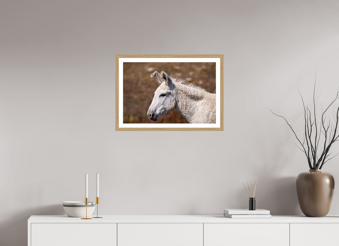 Feral Donkey of Custer