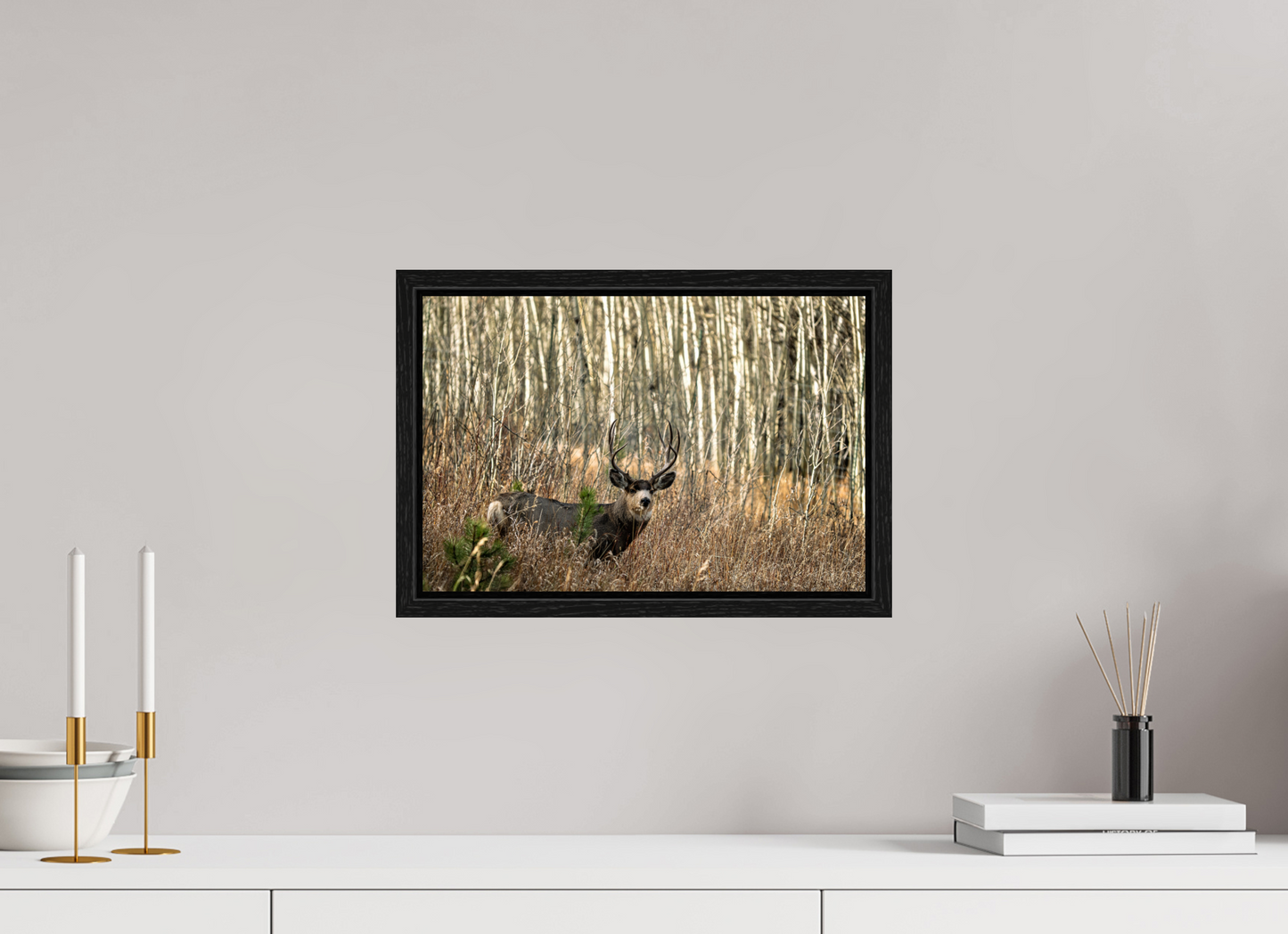 15 x 10″, Floater Frame Guardian of the Aspens