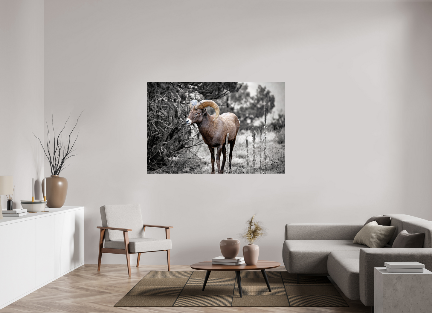66 x 44″, Photo Print Under Acrylic Glass Royal Big Horn
