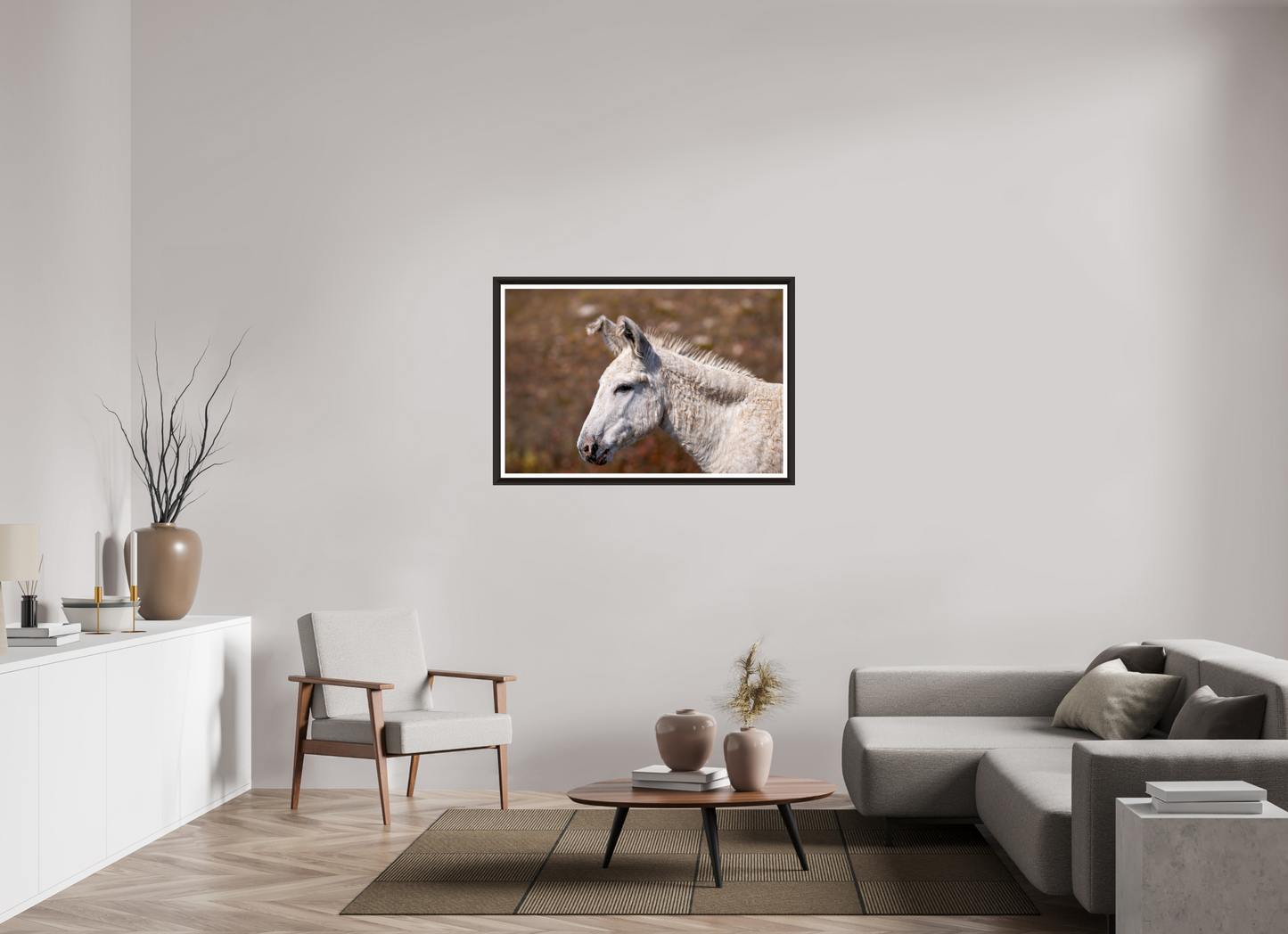 Feral Donkey of Custer